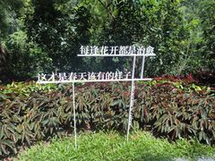 -云溪植物园