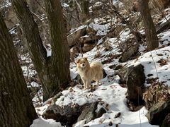 -终南山南五台景区