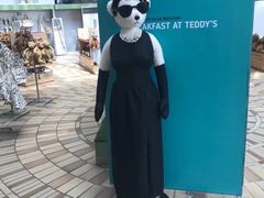 -济州岛泰迪熊博物馆