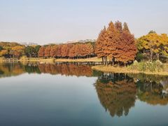 -尚贤河湿地