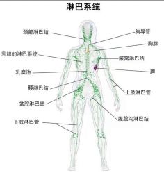-MOE BEAUTY.皮肤管理中心