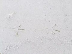 -中央格兰德岛温泉度假酒店 - 全包