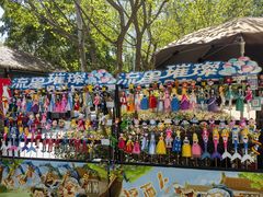 -合肥滨湖国家森林公园