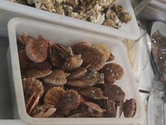 -宾朋海鲜特色美食餐厅·纯手工鲅鱼水饺(兴海路店)