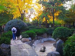 -大雁塔北广场音乐喷泉