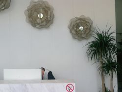 -YESIDO椰岛美容