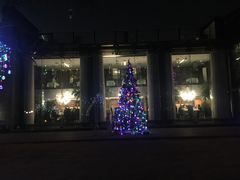 -唐廊烤鸭店(工体店)