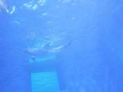 -多彩贵州城极地海洋世界