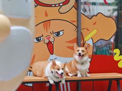 -白云宾馆·白云宴餐厅