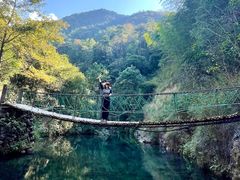 -大奇山国家森林公园