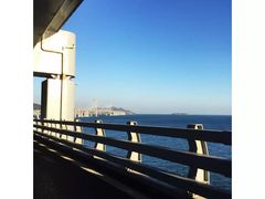 -星海湾跨海大桥