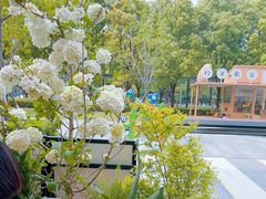 -Grande A'moo(上海万象城店)