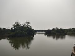 -日照海滨国家森林公园