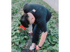 -小鱼草莓采摘园农家乐·小鱼餐厅