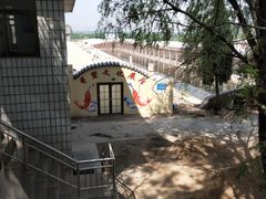 -东方巨龟苑景区