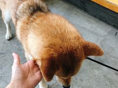 -隹木咖啡馆(宝龙广场店)