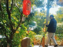 -晓雯人家