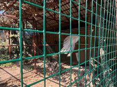 -西双版纳总佛寺