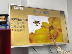 -童程童美·信息学竞赛·乐高机器人编程(萝岗校区)