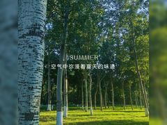 -东升八家郊野公园
