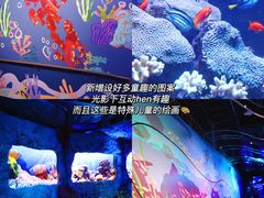 -新加坡海洋生态馆