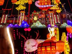 -淄博花灯齐彩城