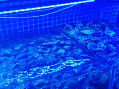 -渔民船说·北塘海鲜·天津菜·海肠捞饭(北塘古镇店)