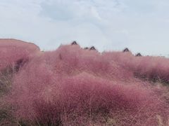 -阳澄湖半岛旅游度假区