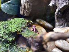 -暹罗海洋世界
