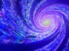 -海合安武汉极地海洋公园