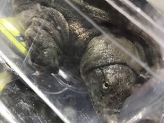 -盒马鲜生(岭南新世界店)