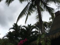 -呀诺达热带雨林
