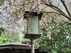 -唐城墙遗址公园