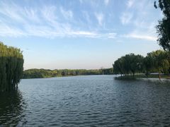 -东华大学(松江校区)