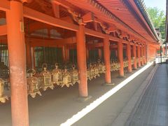 -奈良公园