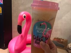 -Flamingo Bloom(TST /尖沙咀店)
