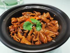 -农乐园食府(梅城镇店)