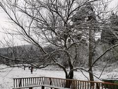 -武陵山森林公园