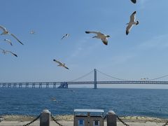 -星海广场