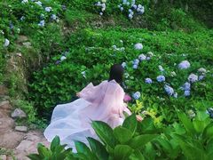 -鼓岭旅游度假区