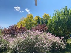 -长春公园(普阳街道)