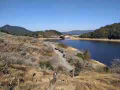 -广州市流溪河国家森林公园