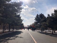 -北陵公园