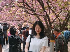 -西安青龙寺遗址景区
