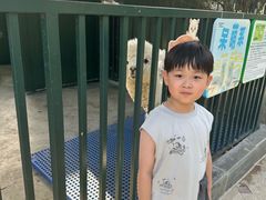 -青岛鑫江温德姆酒店