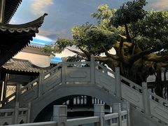 -馋遇江南·精致湖景雅宴(东方之门店)