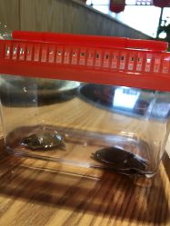 -酷嗒动物文化乐园(cutezoo西溪乐天城店)