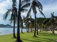 -日落吧·海景咖啡厅·餐酒吧·鸡尾酒·下午茶·乐队表演·浪漫夕阳·三亚文华东方酒店