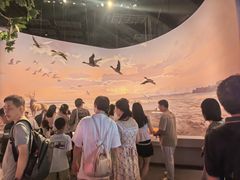 -中国湿地博物馆