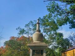 -江心屿景区